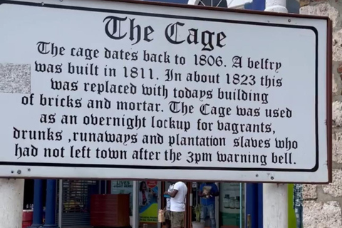 Montego Bay Private City Tour and Complimentary Shopping