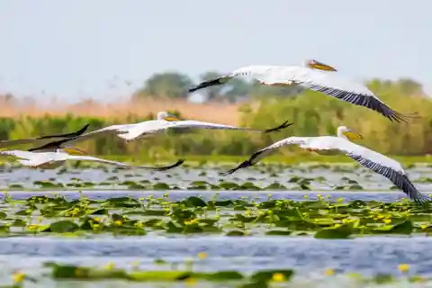 Von Bukarest aus: Tagestour zum Donaudelta