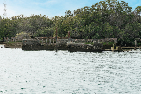 Adelaide: Port River Dolphin en Ships Graveyard Cruise