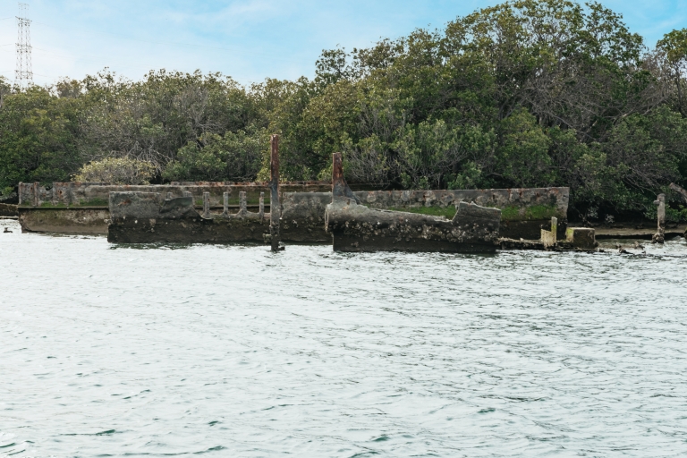 Adelaida: crucero por el cementerio de barcos y los delfines del río Port