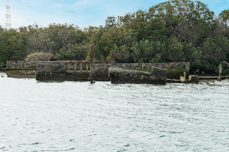 Adelaide: Port River Dolphin and Ships Graveyard Cruise