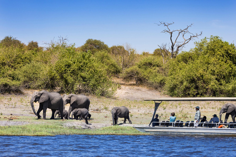 Desde Victoria Falls: Chobe y Namibian Island con almuerzoFrom Victoria Falls: Chobe &amp; Impalila Island Tour with Lunch