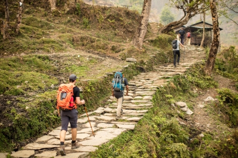 Trekking do bazy Annapurna i safari w dżungli Chitwan - 15 dni