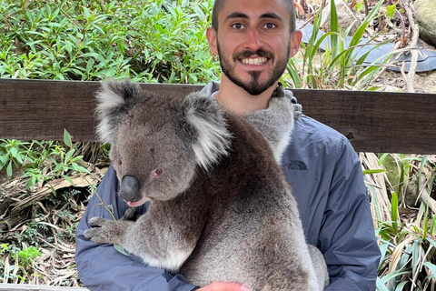 Vanuit Adelaide: Knuffel een Koala en historische Hahndorf Tour