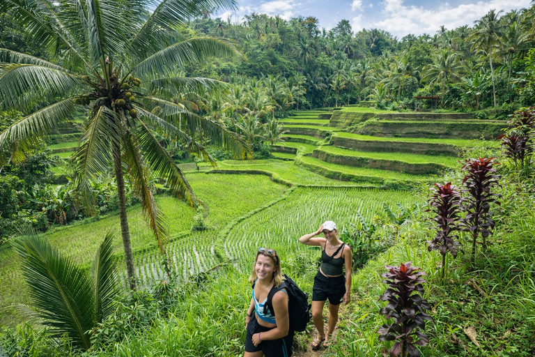 Bali: Sekumpul Waterfall With Waterslide & Rice Terrace Trek Group Tour with Hotel Transfer in Central Bali Area