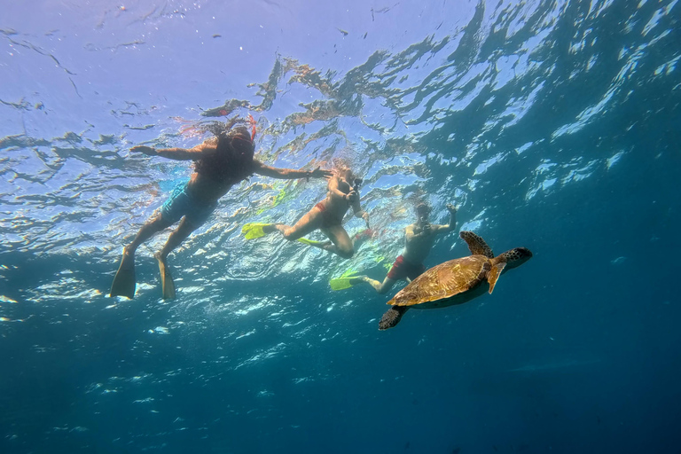 Nusa Penida: Manta Point & Turtle Point Snorkeling Sharing Manta Point Trip with Gamat Bay & Turtle Point