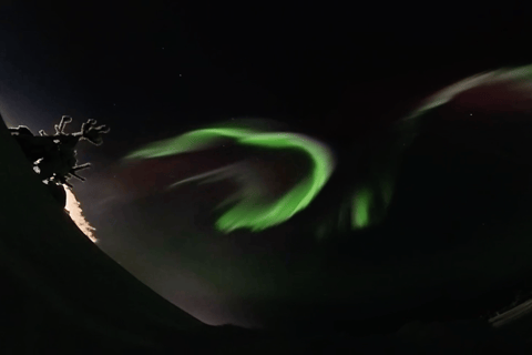 VIP Northern Lights Aurora Chase – Levi, Finnish Lapland