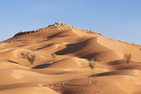 Camel Ride in Bir Abdallah ( Ksar Ghilan )