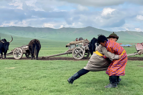 From Ulaanbaatar: Mongolian Naadam Festival Tour