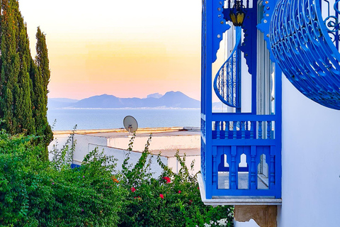 From Tunis/Hammamet: Carthage, Sidi Bou Said, and the Medina Carthage, Sidi Bou Said & Medina (coach and driver only)