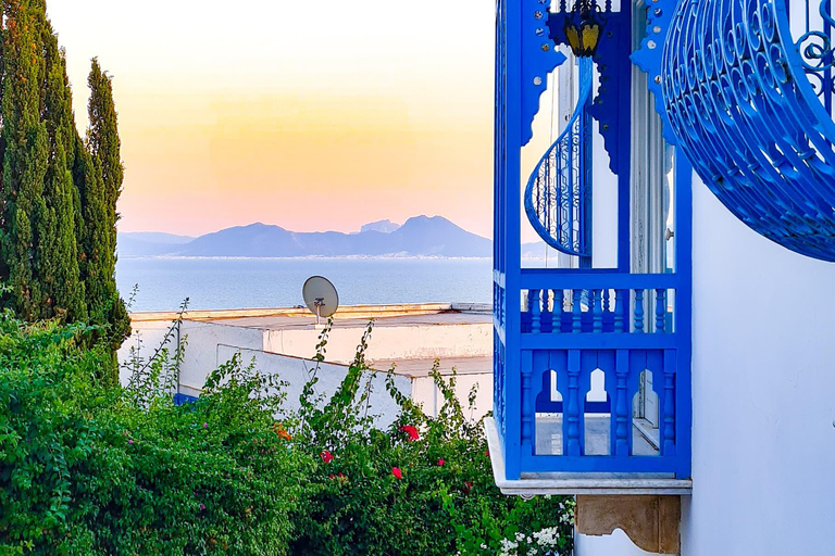 From Tunis/Hammamet: Carthage, Sidi Bou Said, and the Medina Carthage, Sidi Bou Said & Medina (coach and driver only)