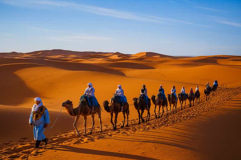 Merzouga : une nuit dans un campement du désert avec dîner et balade à dos de chameau. - dromadaire