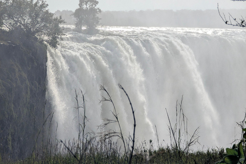 Victoria Falls: Guided Tour with Rainforest & Big Tree Full Heritage Experience: Falls, Rail & City