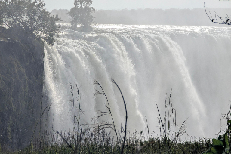 Victoria Falls: Guided Tour with Rainforest & Big Tree Full Heritage Experience: Falls, Rail & City