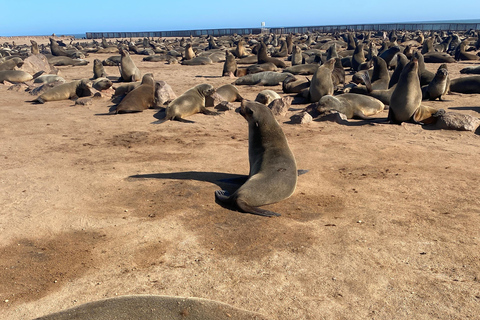 Swakopmund/WalvisBay Rooikop Airport Private Transfers