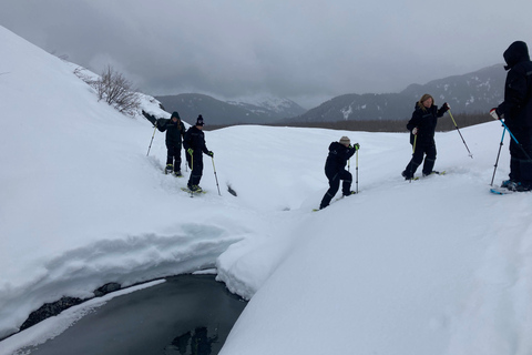 Guided Snowshoeing Adventure from Seward, Alaska 6-Hour Tour