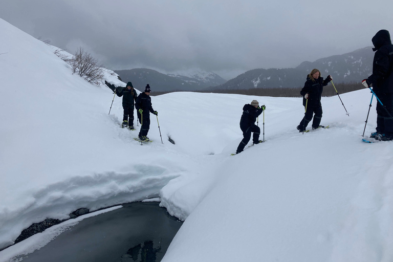 Guided Snowshoeing Adventure from Seward, Alaska 6-Hour Tour