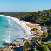 From Sydney: Jervis Bay & South Coast Premium Small Group Tour