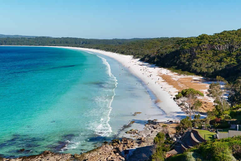 Sydney: Jervis Bay & South Coast Small Group Sydney: Jervis Bay & South Coast Small Group Wild Kangaroos