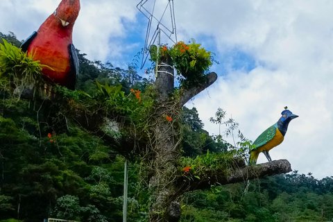 5-Day Ecuador: Andes & Amazon 4x4. Private adventure