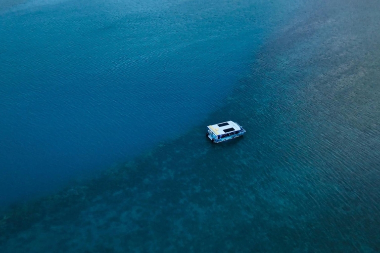Airlie Beach: excursion en bateau à fond de verre