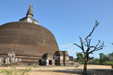 Sigiriya: Pidurangala Sunrise Hike & Polonnaruwa Tour Sigiriya: Pidurangala Sunrise Hike VIP Tour