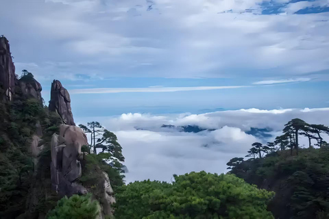 Shangrao: Wangxian Valley Ticket | Mount Sanqing Ticket Wangxian Valley Ticket