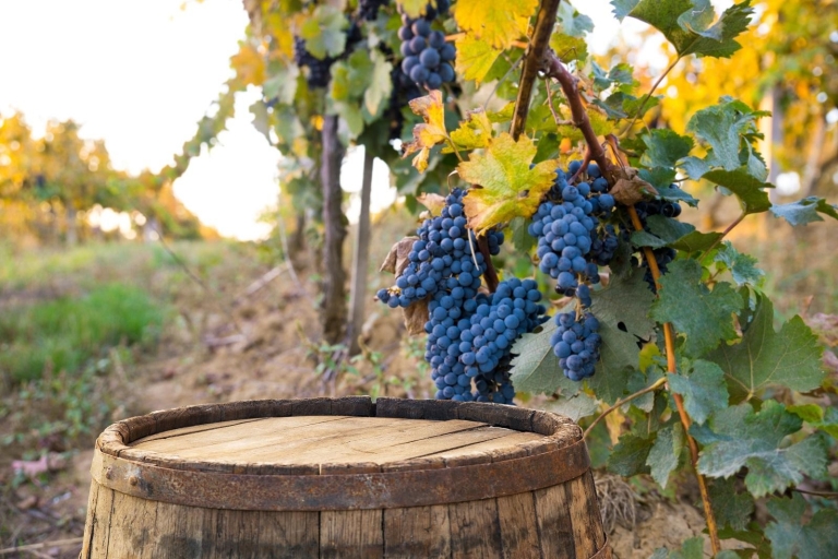 Pienza en Montepulciano: wijntocht van hele dagTour in het Portugees