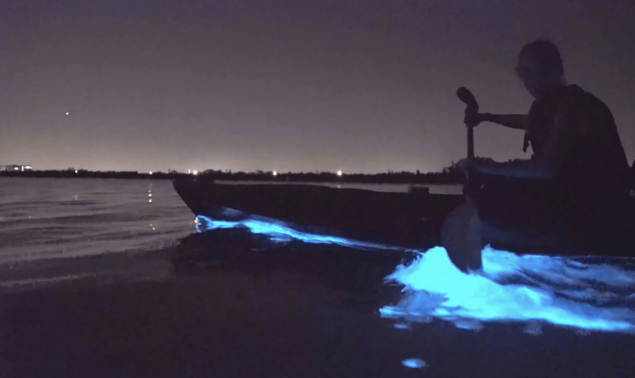 Auckland: Nacht-Kajaktour in leuchtendem Wasser