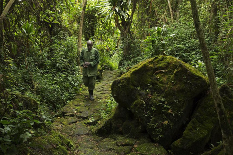 Ancient Kings, Buhanga Sacred Forest & Musanze Caves Tour