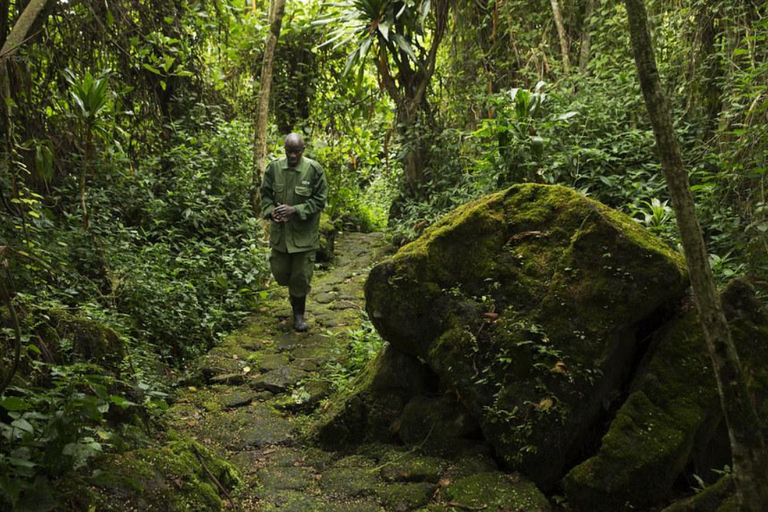 Ancient Kings, Buhanga Sacred Forest & Musanze Caves Tour