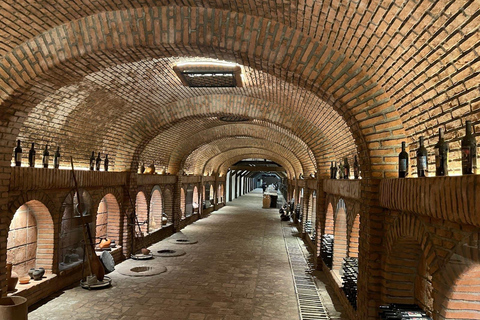 From Tbilisi: Kakheti Private Tour with Wine Tasting