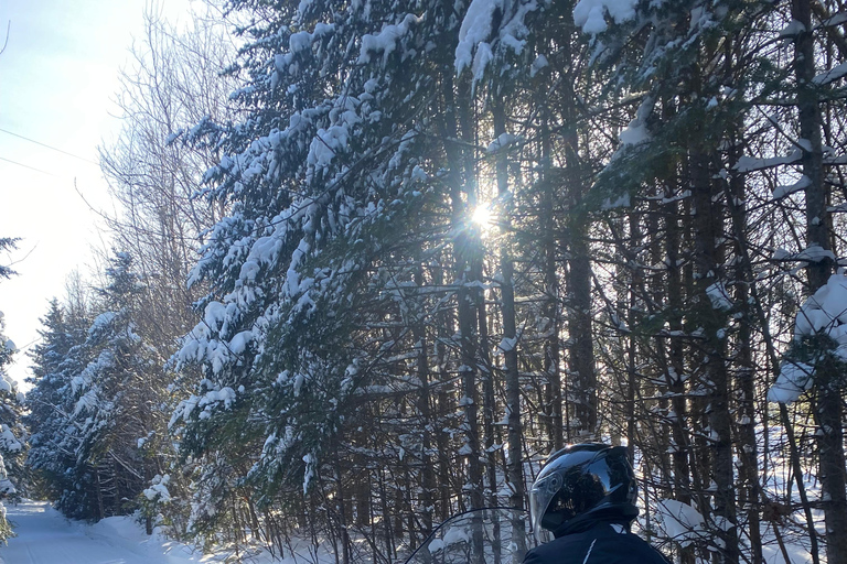 Montreal: Canadian Forest Guided Tour by Snowmobile Snowmobile for One Person