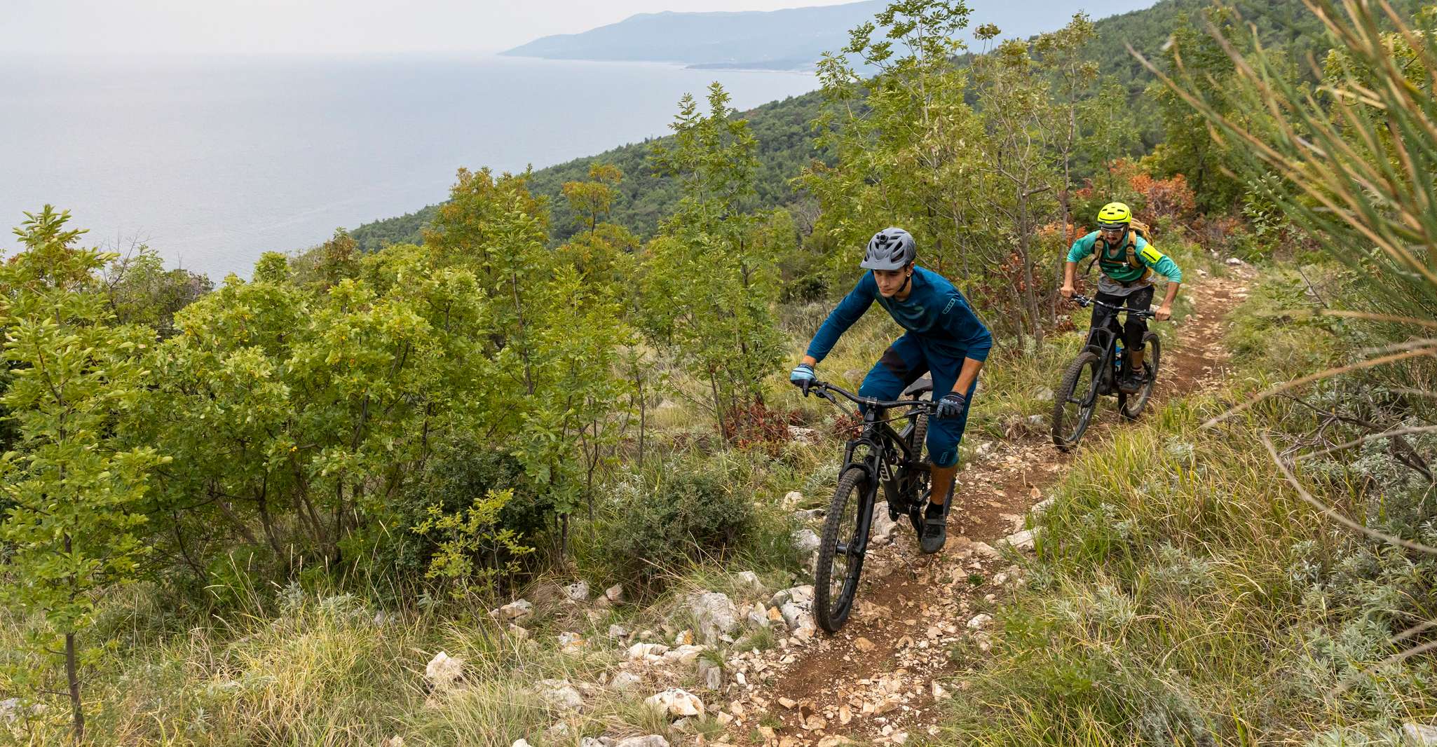 Kamenjak, Rabac, Bike Tour with Olive Oil & Fish Tasting - Housity