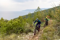 Kamenjak, Rabac, Bike Tour with Olive Oil & Fish Tasting - Housity