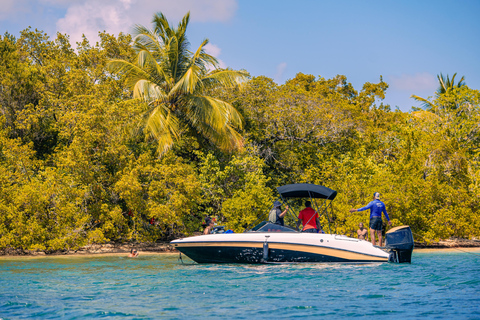 Jetski-tocht van 1 uur door de mangroves en rond het eilandje Guadeloupe1 uur jetskiën in de mangroves en rond het eilandje van Guadeloupe