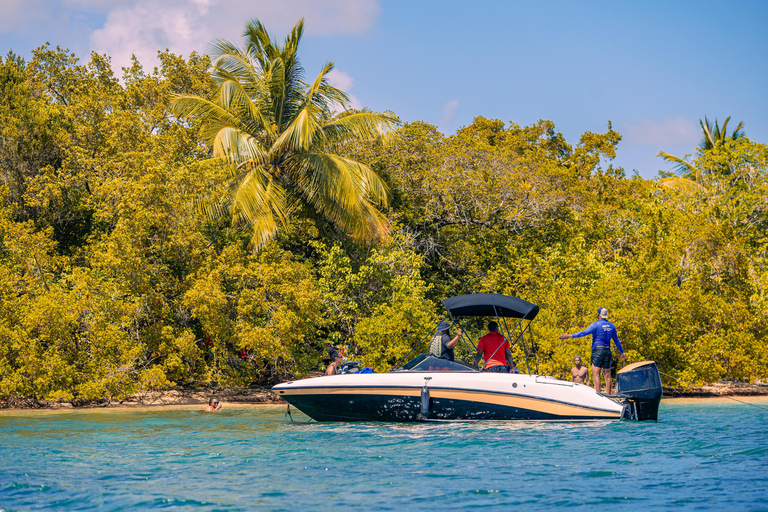 Jetski-tocht van 1 uur door de mangroves en rond het eilandje Guadeloupe1 uur jetskiën in de mangroves en rond het eilandje van Guadeloupe