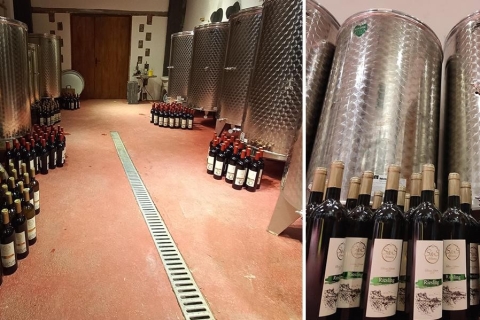 Ohrid - Dégustation de vin au domaine viticole S&SOhrid - Dégustation de vin dans une cave S&S