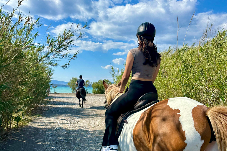 Rodas: Excursión a caballo con fotos digitalesExcursión matinal a caballo por el campo