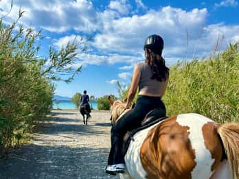 Rhodes: Horseback Riding Trip with Digital Photos