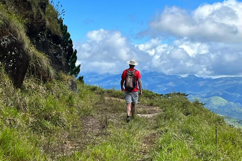 Kandy: Sir James Taylor’s Loolkandura Tea Heritage Hike