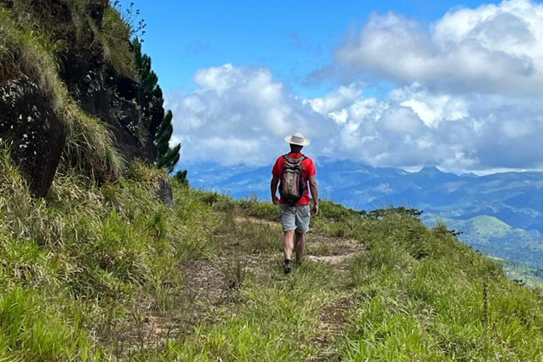 Kandy: Sir James Taylor’s Loolkandura Tea Heritage Hike