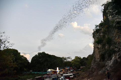 Battambang Afternoon Countryside, BambooTrain & BatCaveTour Afternoon Countryside, Bamboo Train & Bat Cave Tour