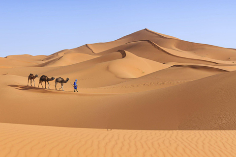 From Agadir/Taghazout: Sahara Sand Dunes with Transfer