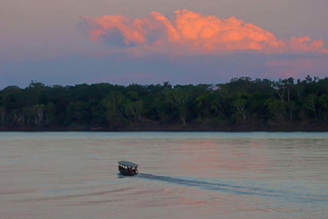 Puerto Maldonado: 3-Day Amazon Lodge Tour with Pool