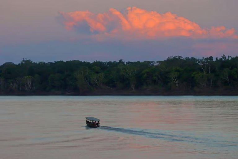 Puerto Maldonado: 3-Day Amazon Lodge Tour with Pool