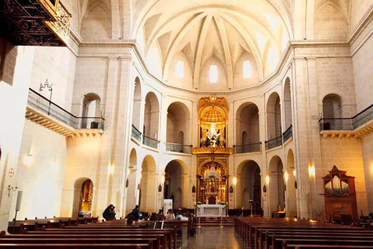 Alicante et Elche : excursion d&#039;une journée avec visite du château de Santa Bárbara