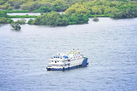 Utforska södra Goa bilguidad heldags sightseeingtur