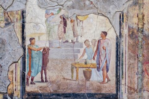 Pompeji und Vesuv 8-Stunden-Tour ab Sorrent