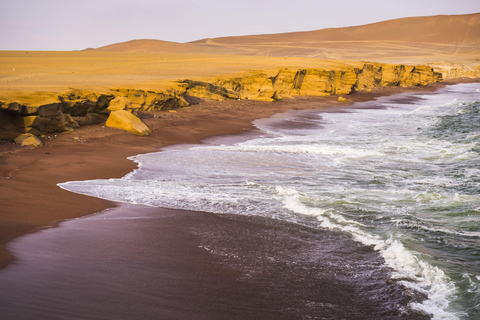 From Lima: Visit Paracas, Ballestas Islands, Huacachina and Vineyard in Ica.